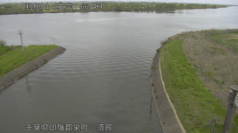 tonsu2026041312_image