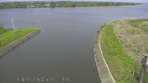 tonsu2026041313_image