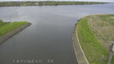 tonsu2026041314_image