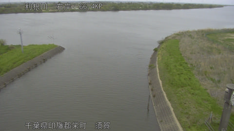 tonsu2026041315_image