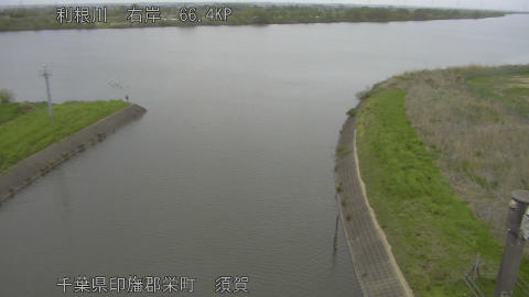 tonsu2026041317_image