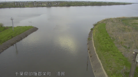 tonsu2026041318_image