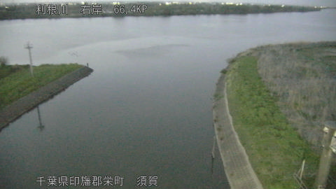 tonsu2026041319_image