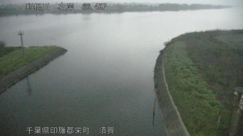 tonsu2026041405_image