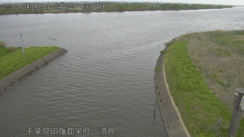 tonsu2026041408_image