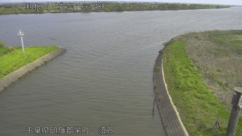 tonsu2026041409_image