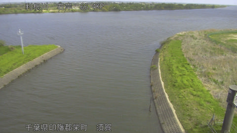 tonsu2026041410_image