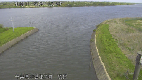 tonsu2026041411_image