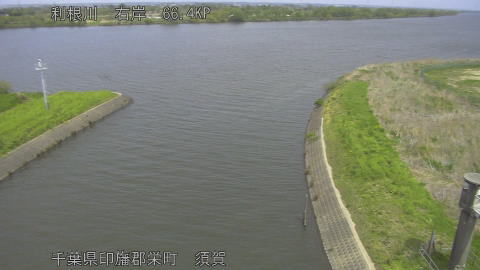 tonsu2026041412_image