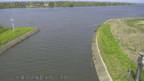 tonsu2026041413_image