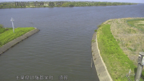 tonsu2026041414_image