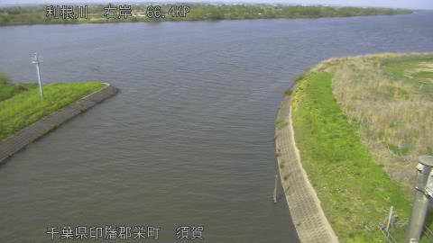 tonsu2026041415_image