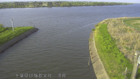 tonsu2026041417_image