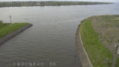 tonsu2026041418_image