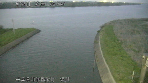 tonsu2026041419_image