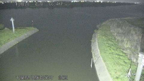 tonsu2026041501_image