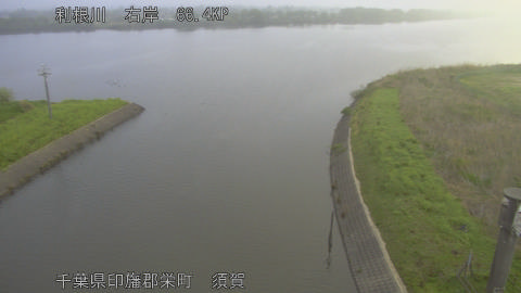 tonsu2026041506_image