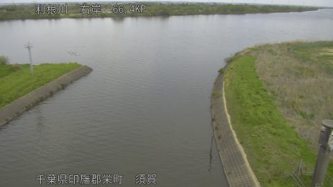 tonsu2026041511_image