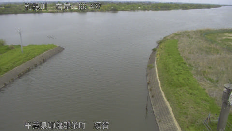 tonsu2026041512_image