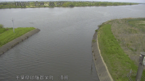 tonsu2026041513_image