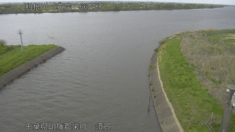 tonsu2026041515_image