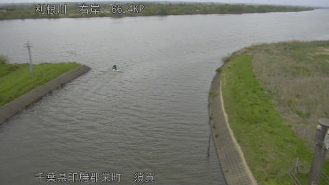 tonsu2026041516_image