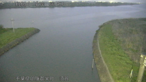 tonsu2026041519_image