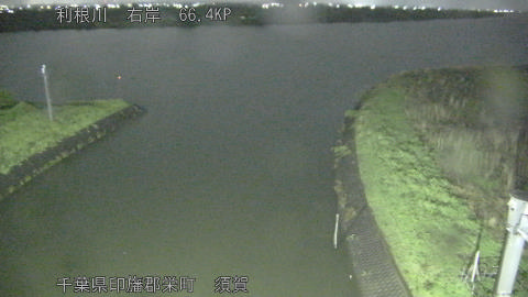 tonsu2026041600_image