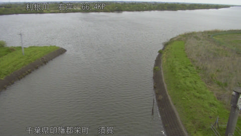 tonsu2026041608_image