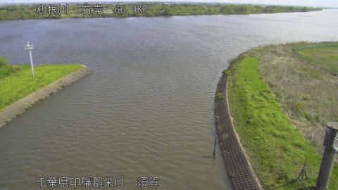 tonsu2026041609_image