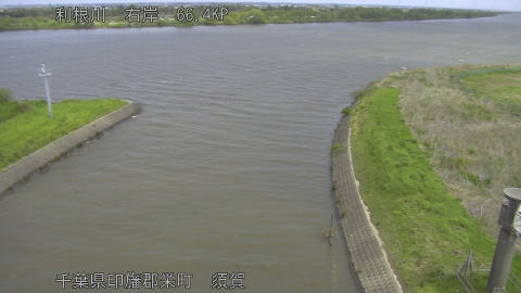 tonsu2026041611_image