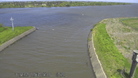 tonsu2026041612_image