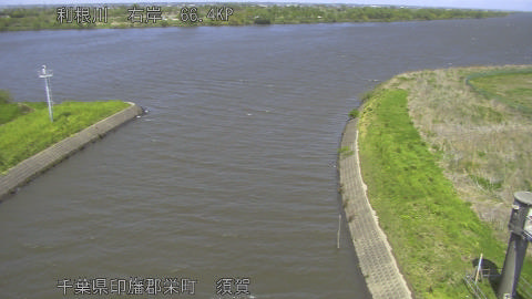 tonsu2026041613_image