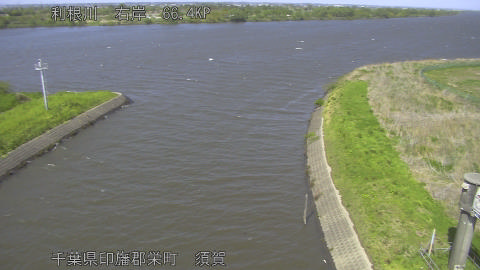 tonsu2026041614_image