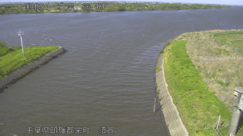 tonsu2026041615_image