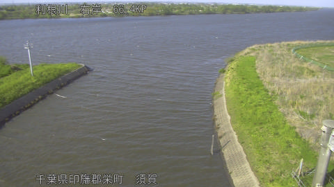 tonsu2026041616_image