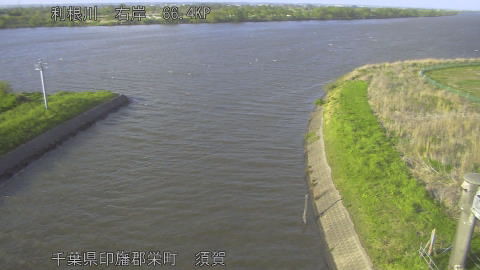 tonsu2026041617_image