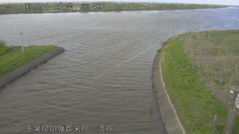 tonsu2026041618_image