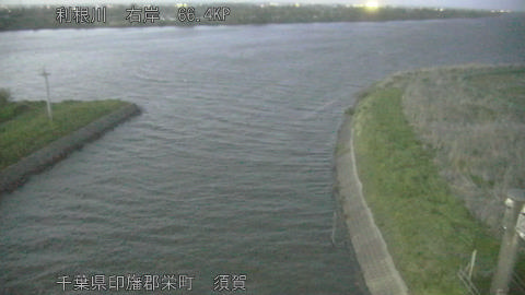 tonsu2026041619_image