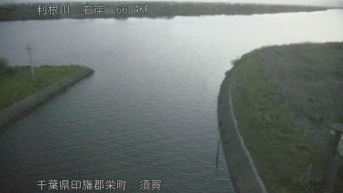 tonsu2026041705_image