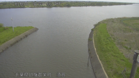 tonsu2026041709_image