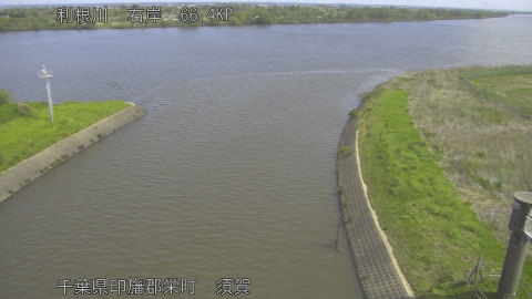 tonsu2026041710_image