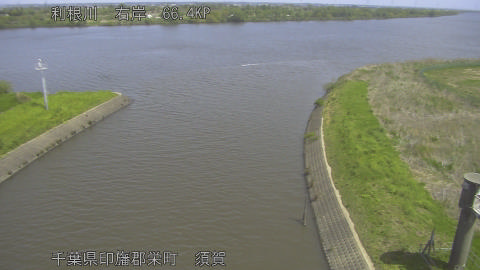 tonsu2026041711_image