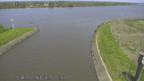 tonsu2026041712_image