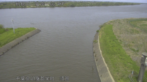 tonsu2026041713_image