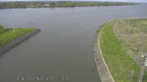 tonsu2026041716_image