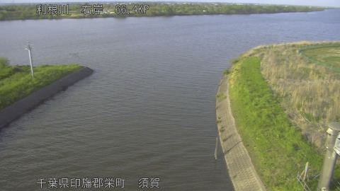 tonsu2026041717_image