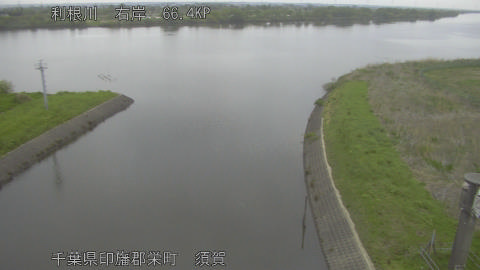 tonsu2026041806_image