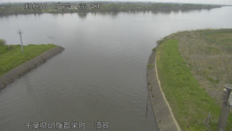 tonsu2026041808_image