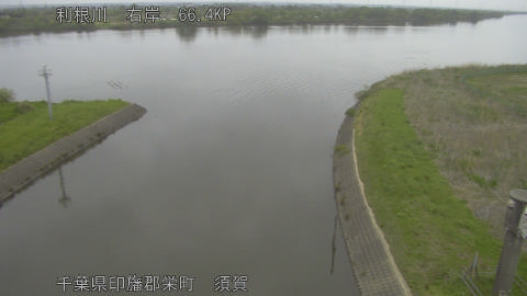 tonsu2026041809_image